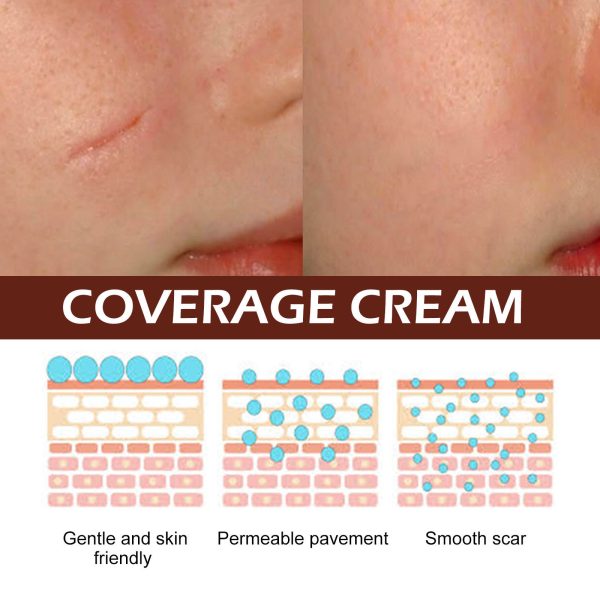 Fade Skin Scar Repair Neck Cream - Image 5