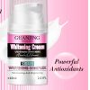 Brightening Cream Armpit Moisturizing 60g Wholesale - Image 5